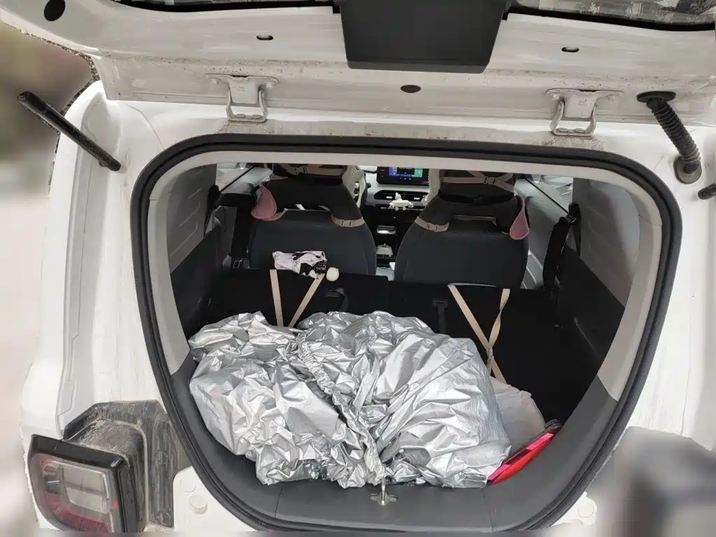 Geely Galaxy Panda 2023 2023 Panda Mini 200km Lively Bear