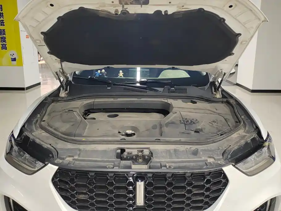 WEY VV5 2018 2017 2.0T Super Luxury Model