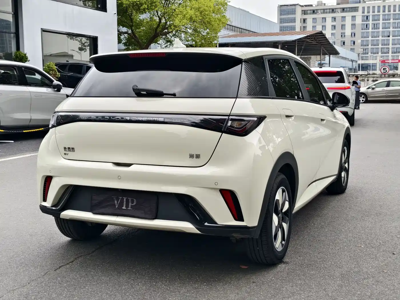 BYD Dolphin 2025 420km Fashion Edition фото 6