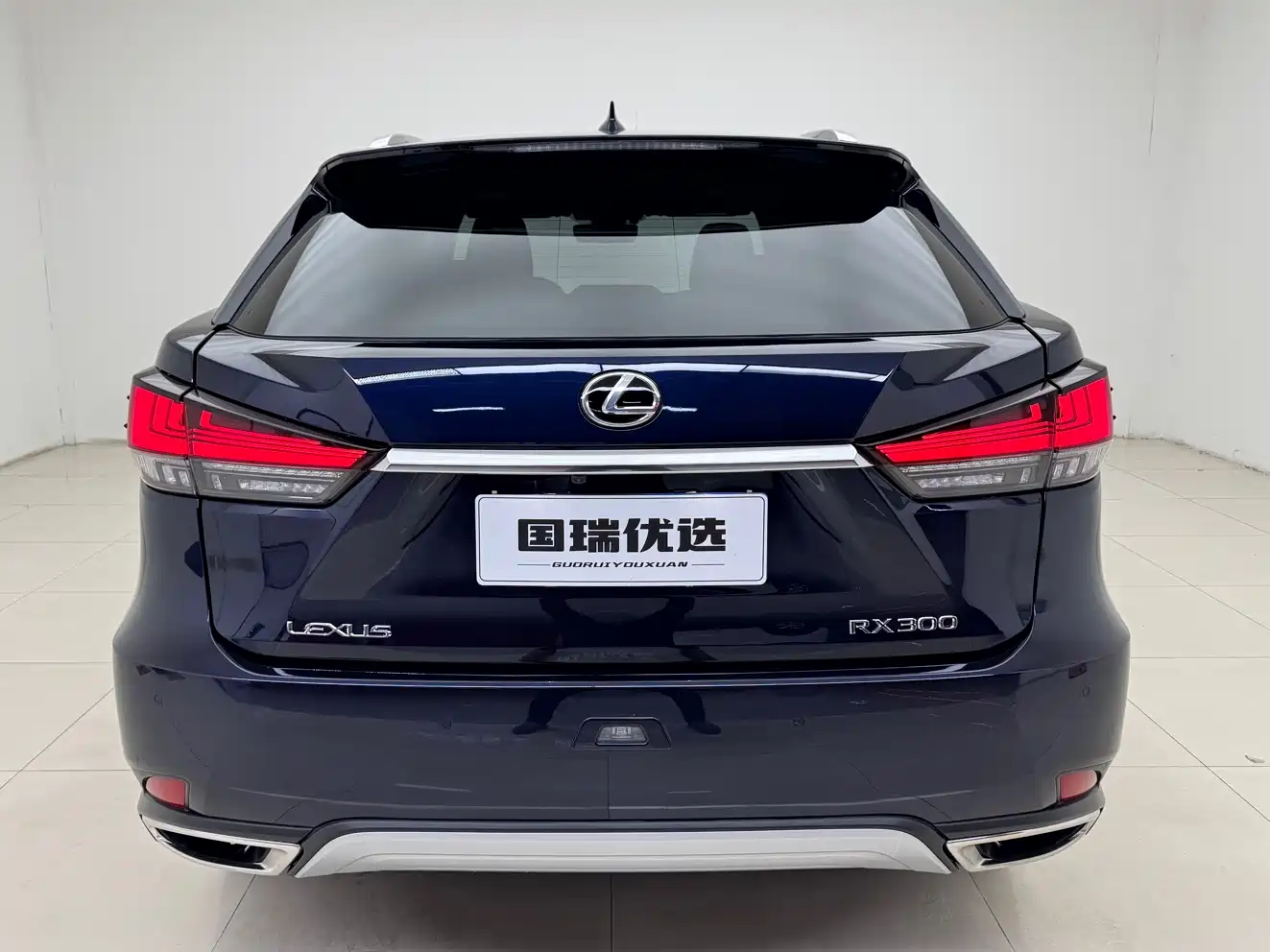 Lexus RX 2020 300 4WD Elegance Edition China VI фото 5