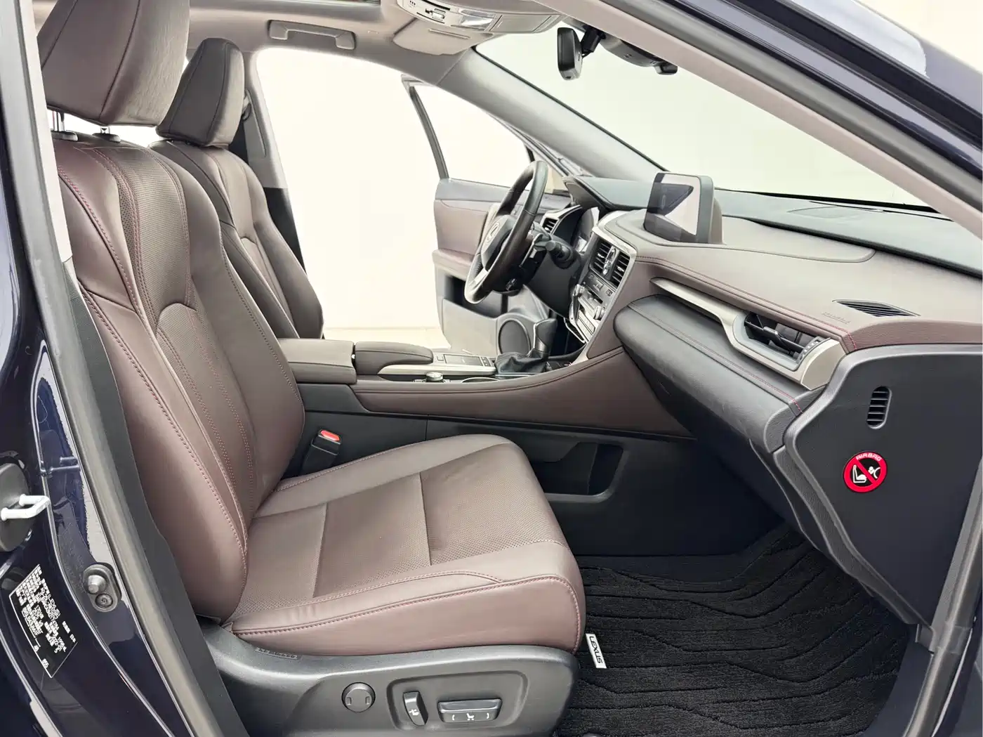 Lexus RX 2020 300 4WD Elegance Edition China VI фото 11