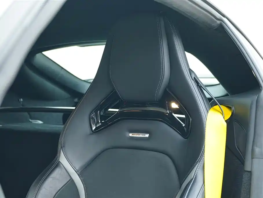 Mercedes-Benz AMG GT 2019 AMG GT R PRO фото 22