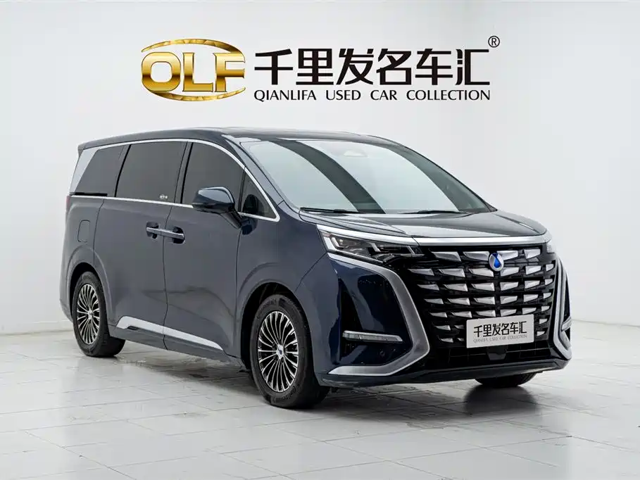 Denza D9 2022 DM-i 970 All-Wheel Drive Honor Edition фото 3