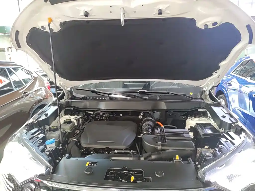 Haval H6 New Energy 2022 2023 DHT-PHEV 55KM Joy Ride Edition