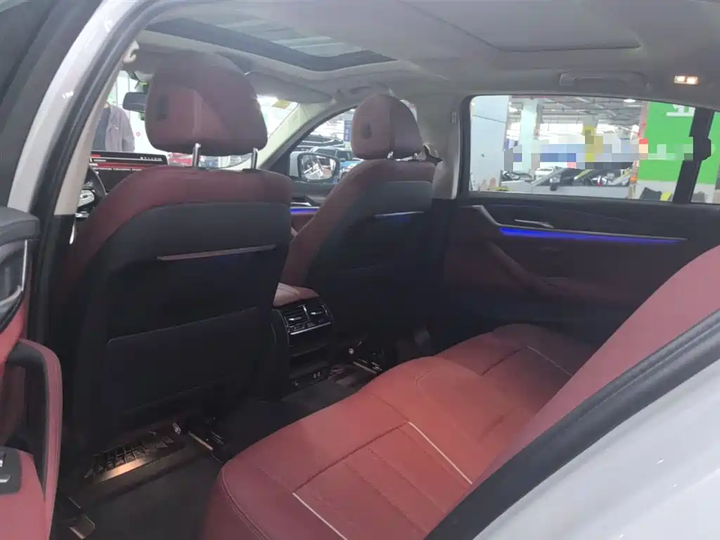 BMW 5 Series 2021 530Li Leading Luxury Package фото 17