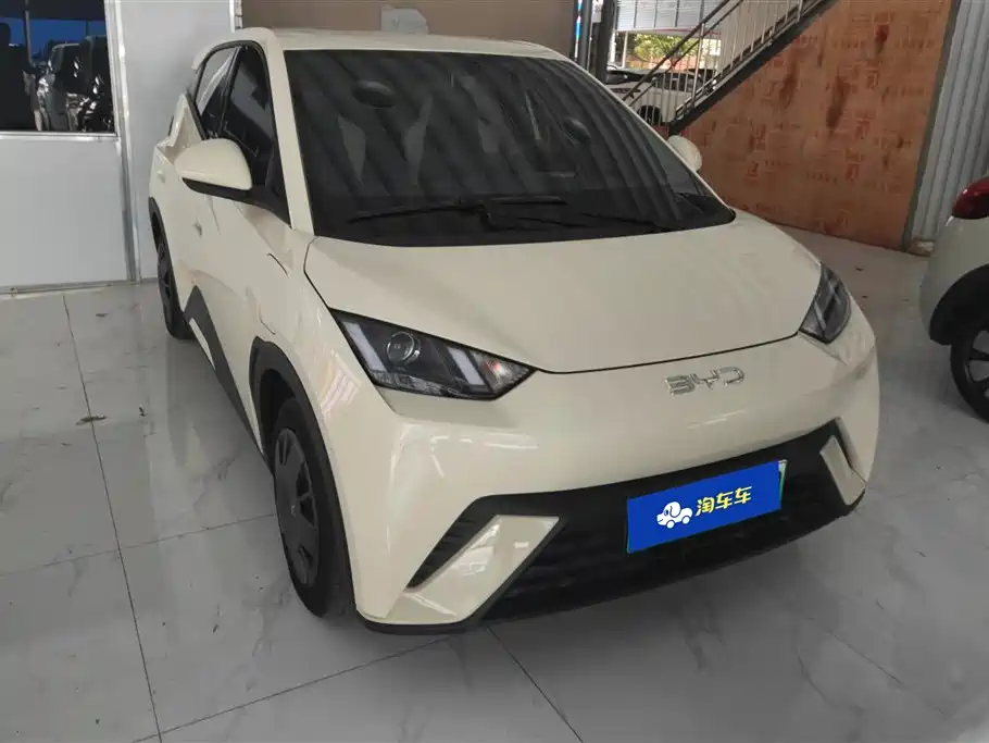 BYD Seagull 2023 Vitality Edition фото 2