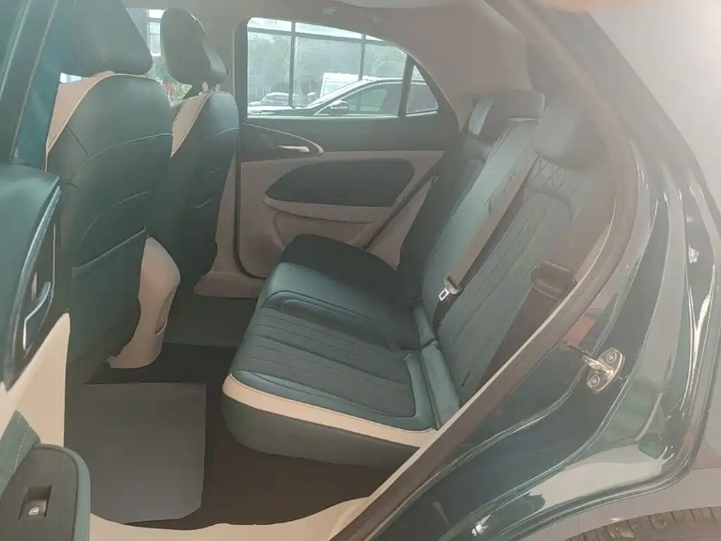 Ora Good Cat 2023 2023 401km Standard Range Premium LFP