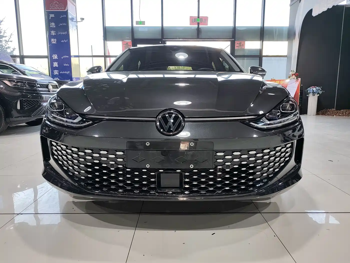 VOLKSWAGEN LINGDU