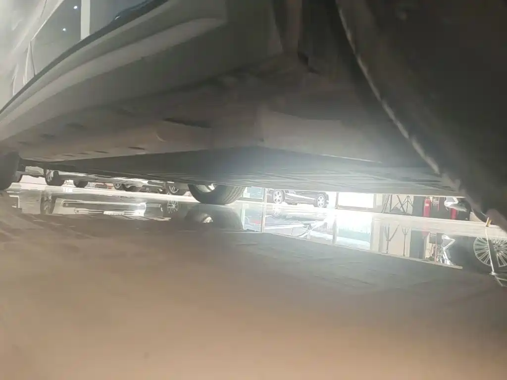 Ora Good Cat 2023 2023 401km Standard Range Premium LFP
