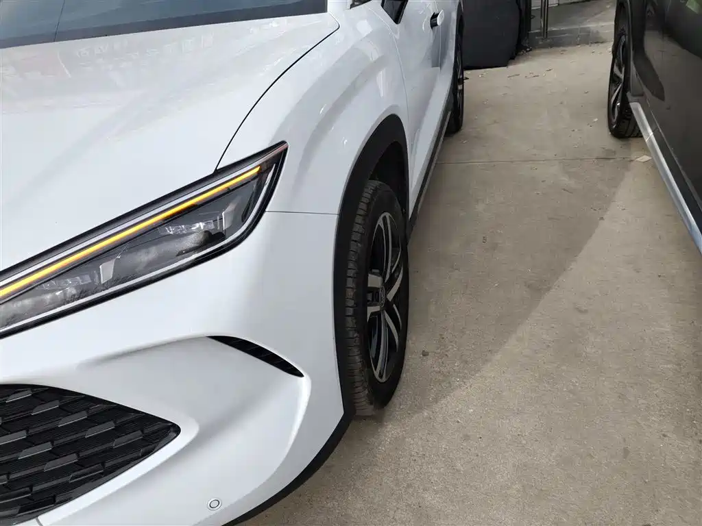 BYD Song L DM-i 2024 112km Leading Edition фото 24