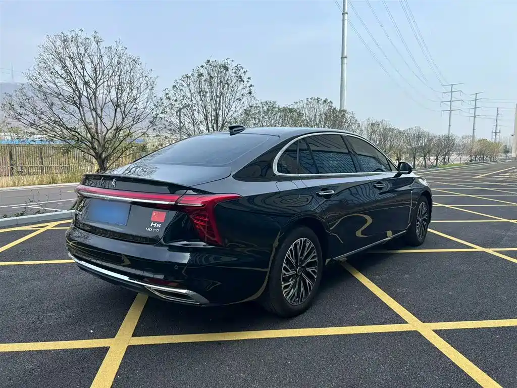 Hongqi H5 2025 2.0T Automatic Flag Celebration 500,000 Units Anniversary Edition фото 25