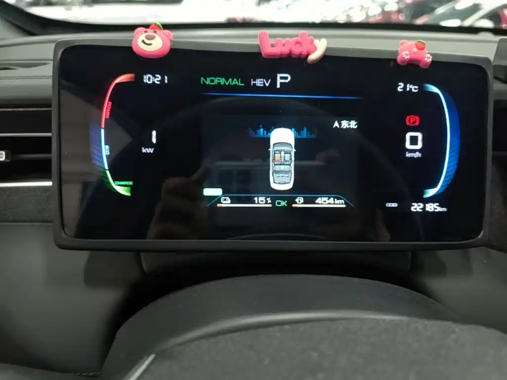 BYD Qin PLUS 2025 DM-i Smart Drive 55KM Leader фото 12