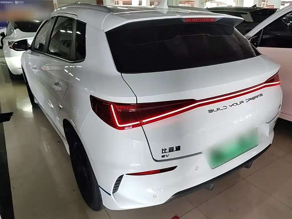 BYD e2 2021 Luxury Edition фото 5
