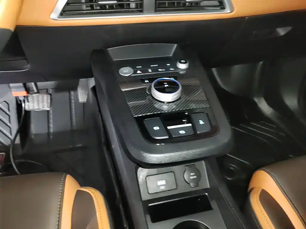 BYD e2 2021 Luxury Edition фото 14