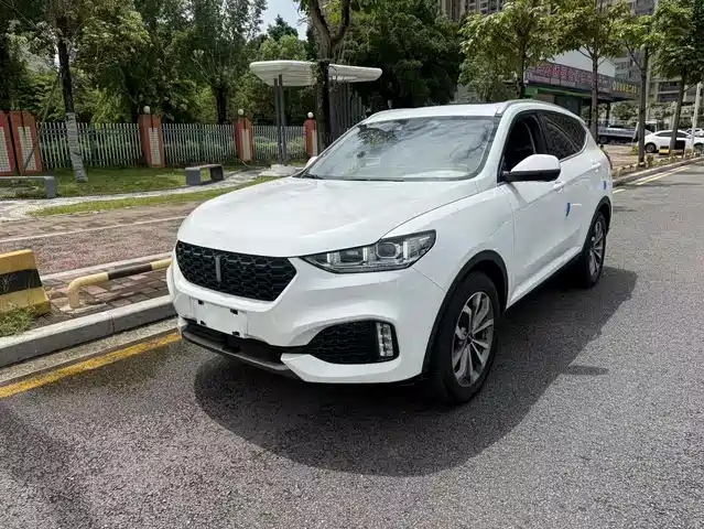 WEY Wey VV6 2018 2.0T 2WD Super Luxury China V