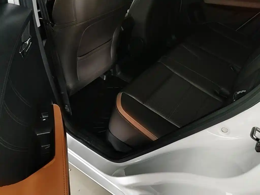 BYD e2 2021 Luxury Edition фото 17