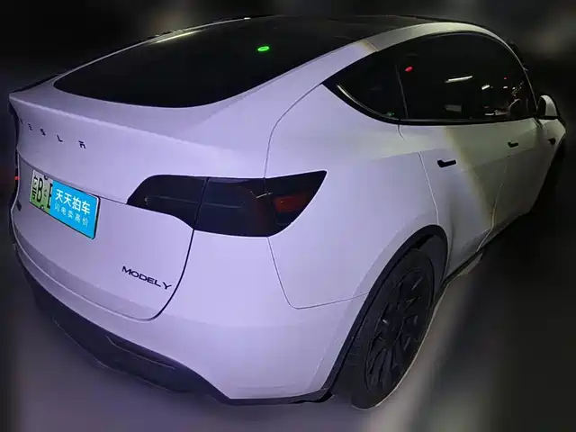 Tesla Model Y 2021 Standard Range Rear-Wheel Drive — фото 2