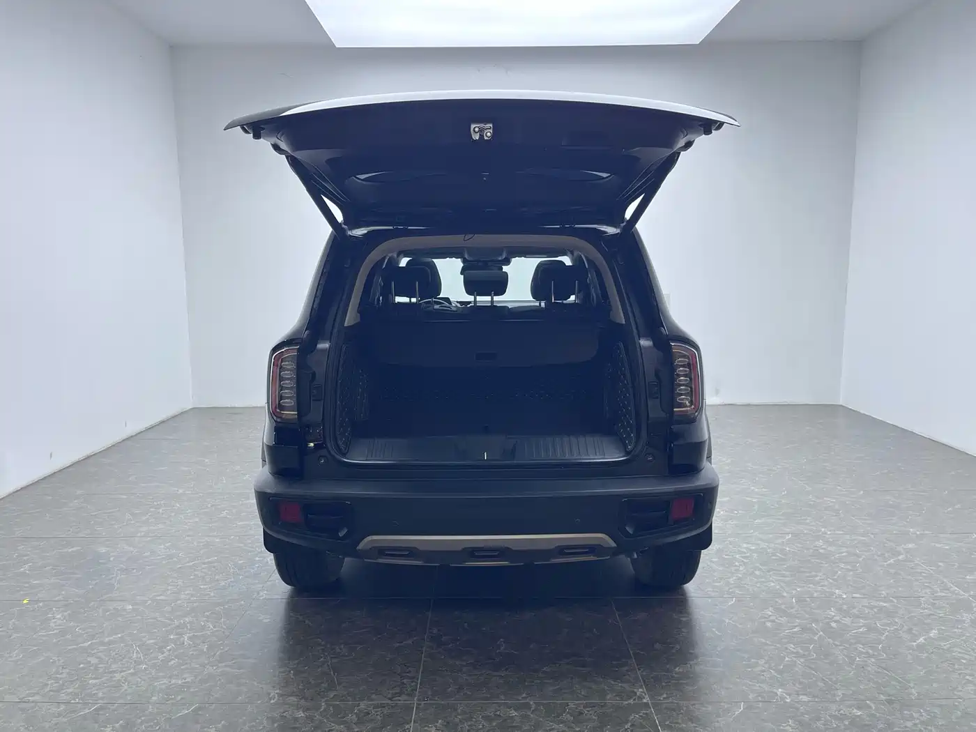Haval Big Dog 2022 1.5T DCT FWD Border Collie Edition фото 5
