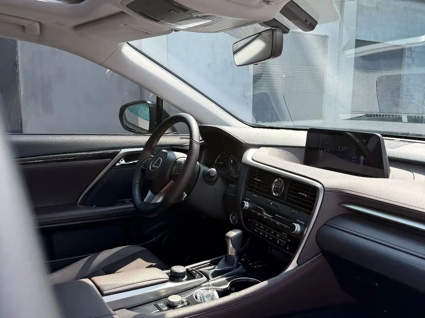 Фото 8 - Lexus RX