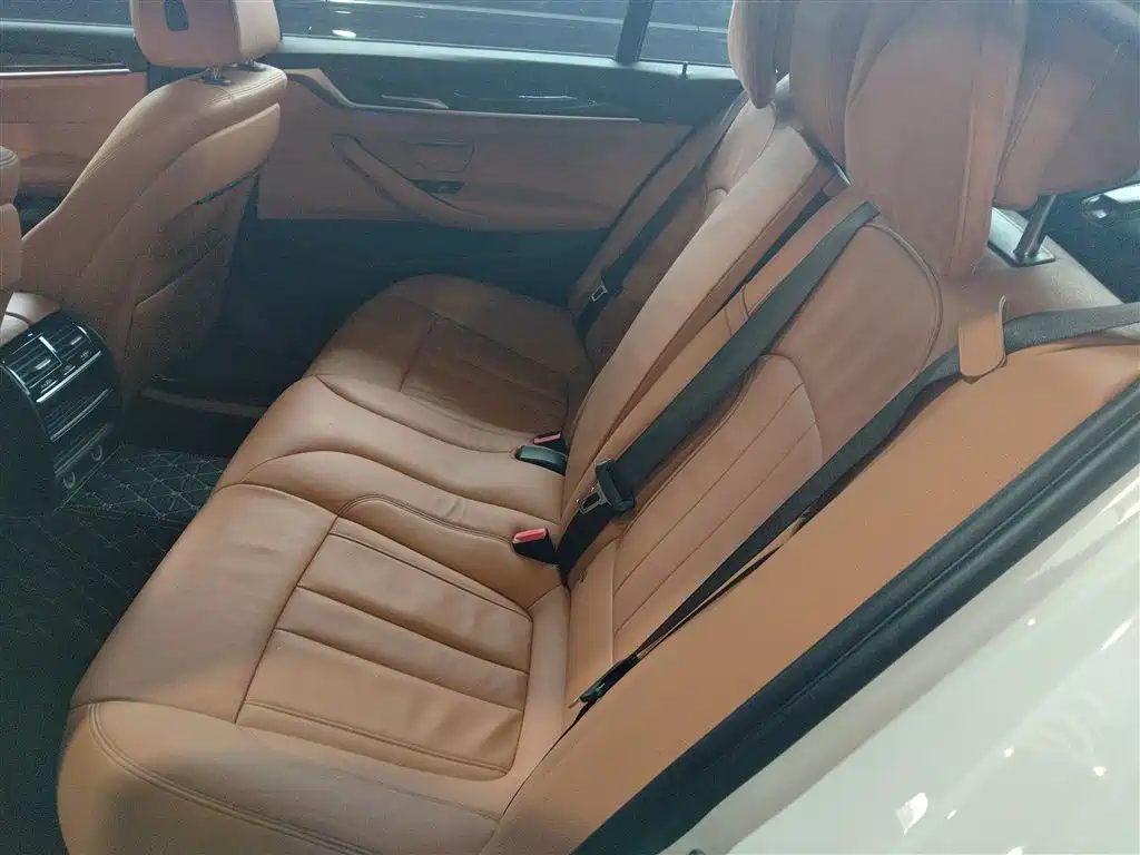 BMW 5 Series 2019 530Li Leading M Sport Package фото 13