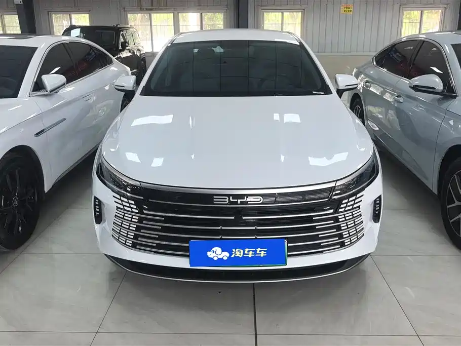 BYD Destroyer 05 2024 DM-i 55KM Pilot Glory Edition фото 2