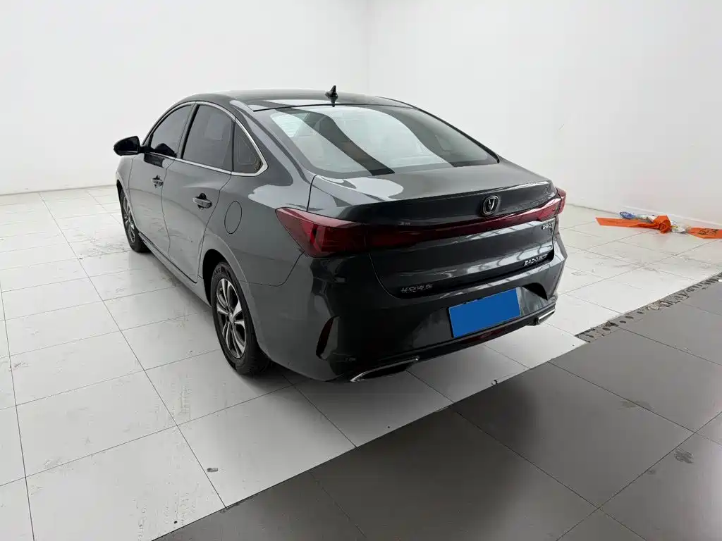 Фото 8 - Changan Eado