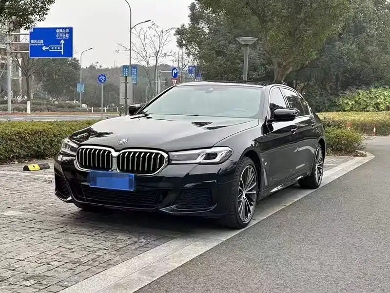 BMW 5 Series 2021 530Li Leading M Sport Package