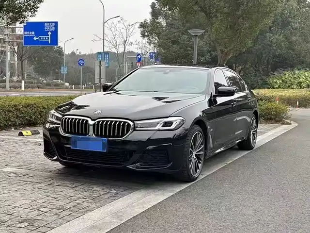 BMW 5 SERIES