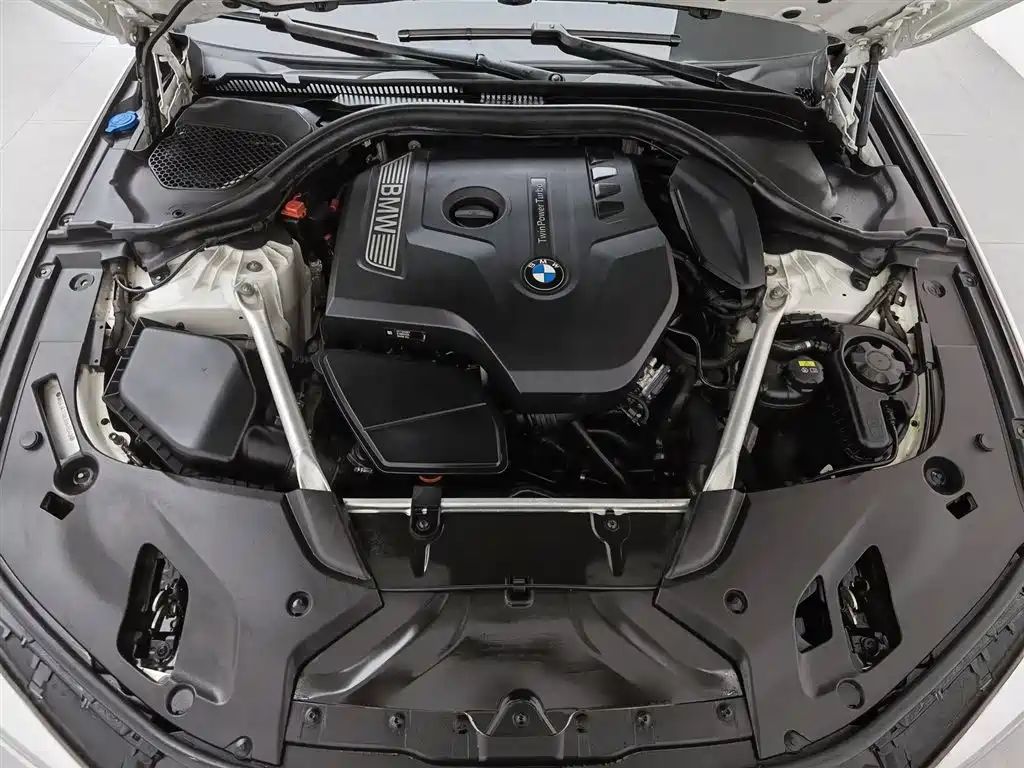 BMW 5 Series (Import) 2018 525i M Sport Package фото 6