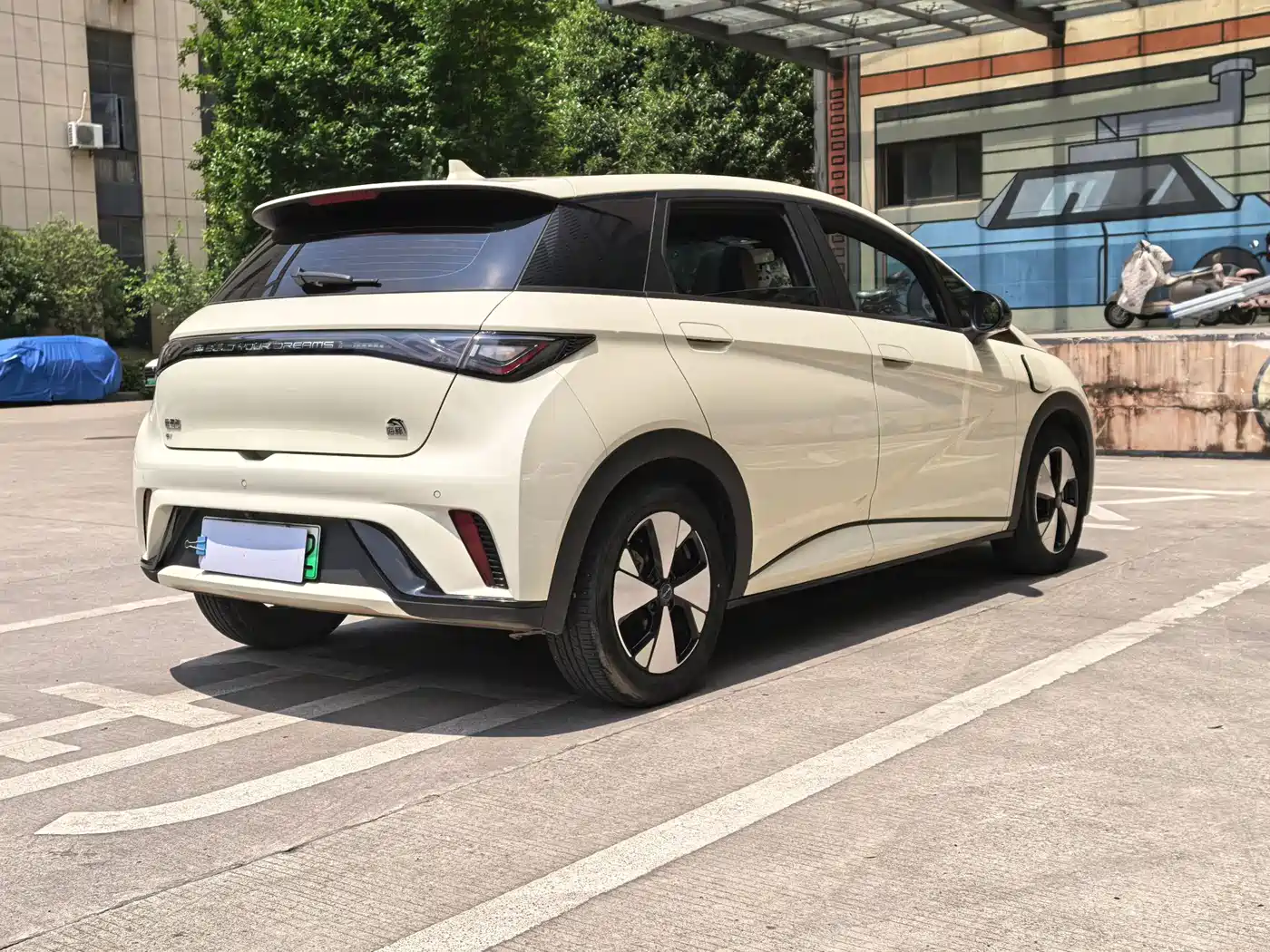 BYD Dolphin 2023 420km Fashion Edition фото 15