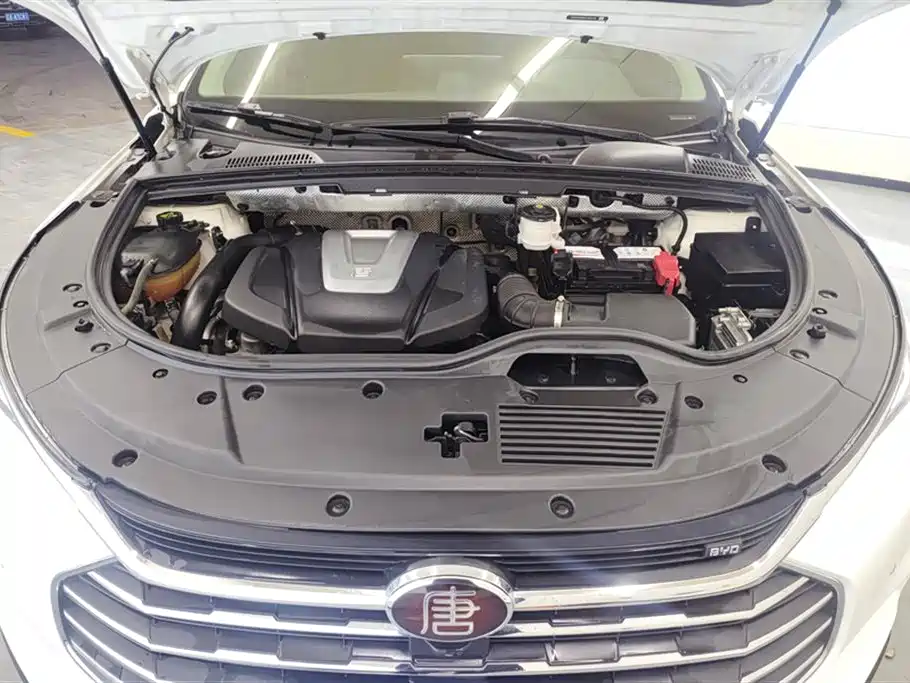 BYD Tang 2018 2.0T Auto Smart Connect Prestige 5-seater China V фото 10