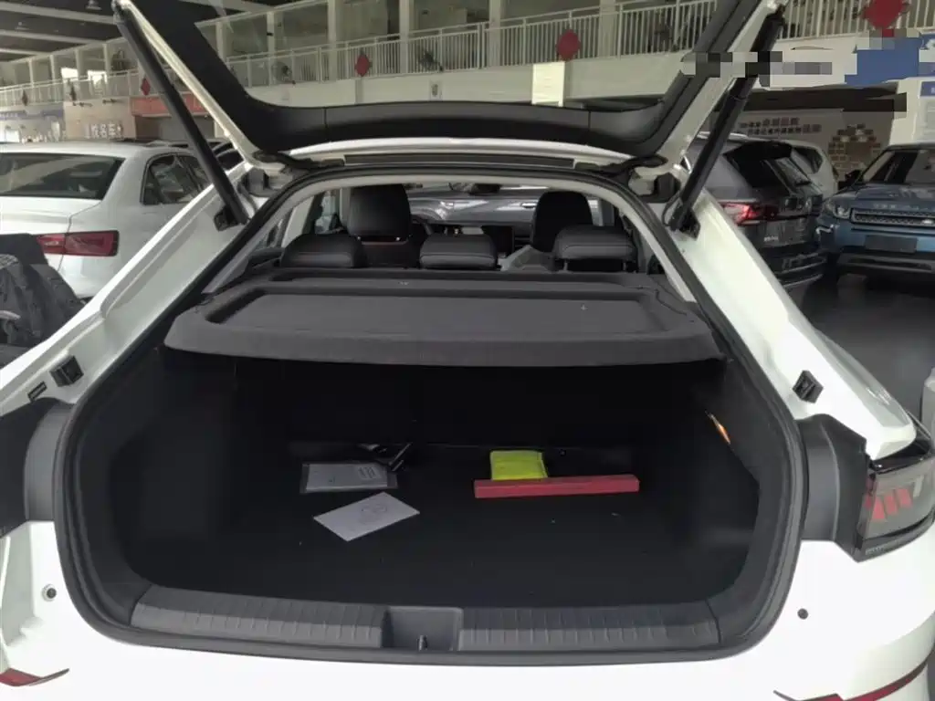 VOLKSWAGEN LINGDU