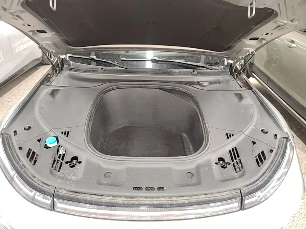 Фото 20 - XPeng P7
