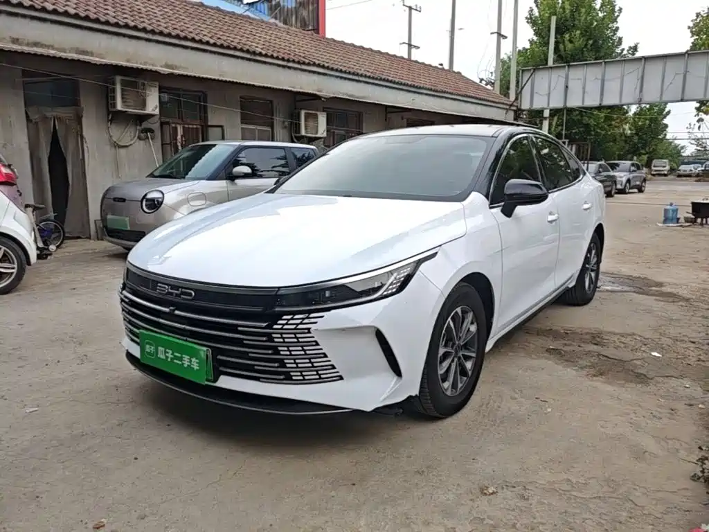 صورة 2 - BYD Destroyer 05
