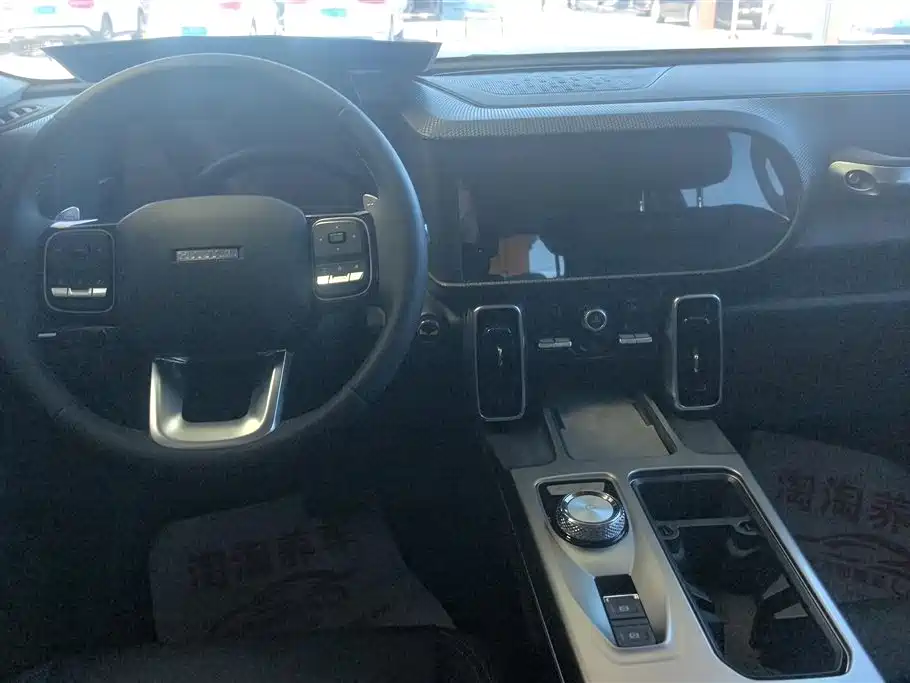 Haval Big Dog 2024 1.5T DCT Border Collie Edition фото 12