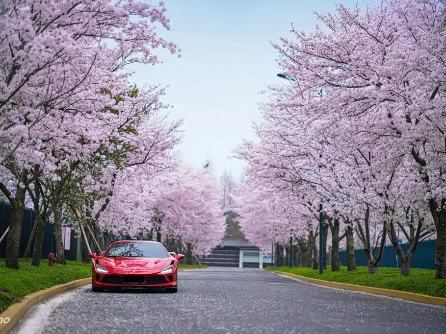 Ferrari F8 2021 2019 Tributo 3.9T V8