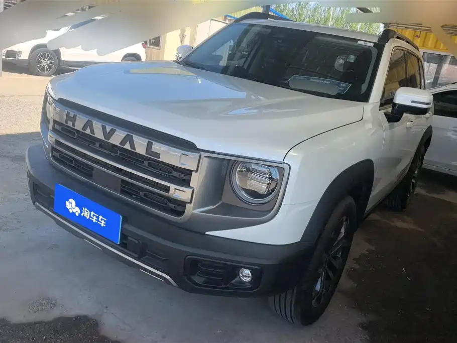 Haval Big Dog 2024 1.5T DCT Border Collie Edition