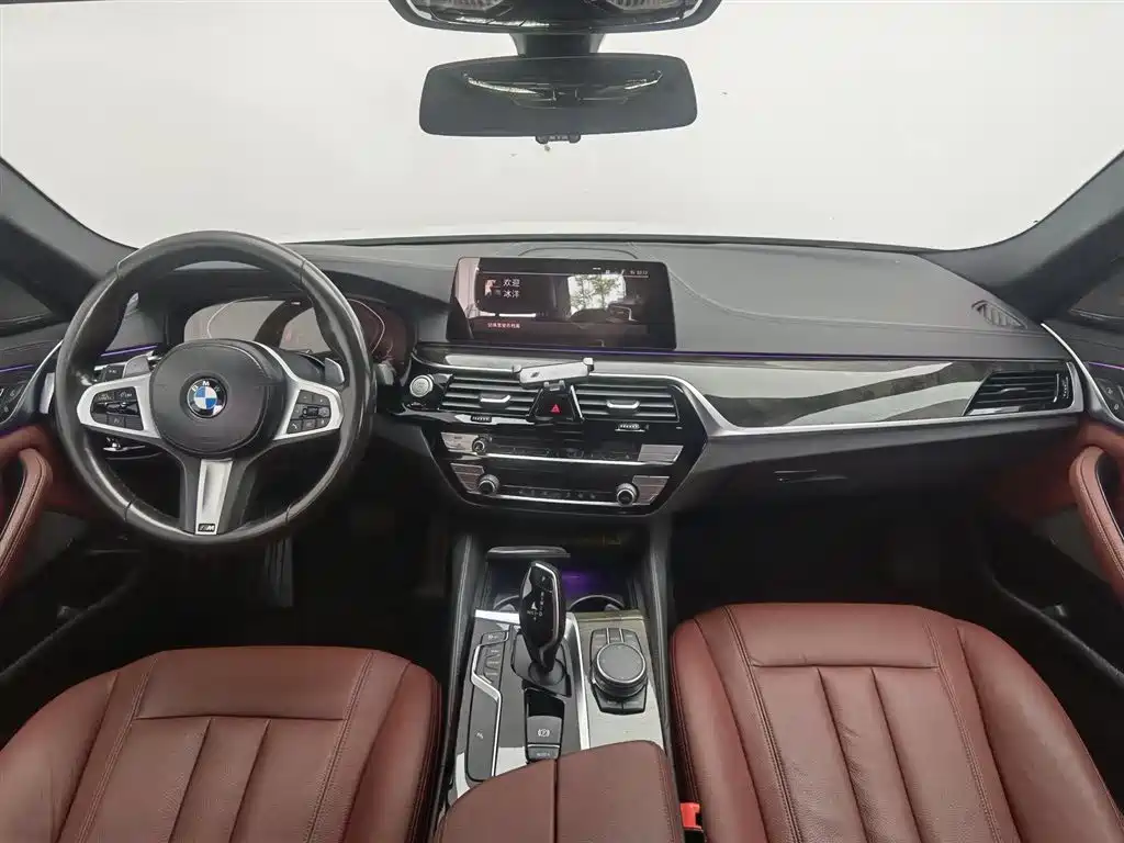 BMW 5 Series 2020 530Li Leading M Sport Package фото 5