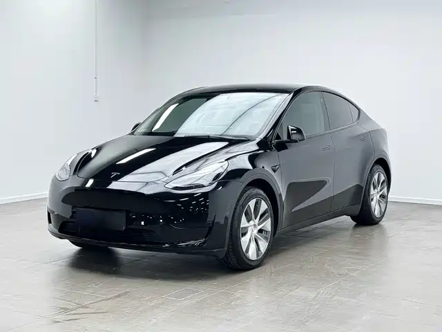 Tesla Model Y Задний привод