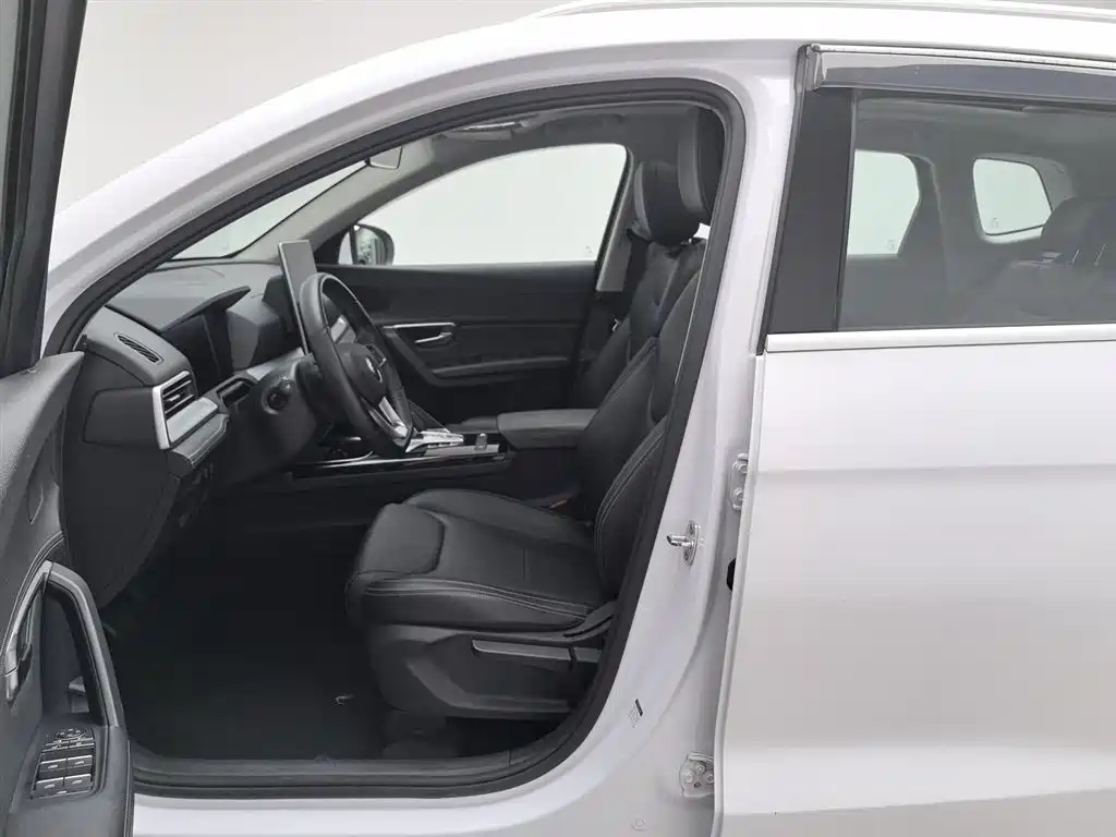 BYD Song Pro 2019 1.5T Automatic Elite фото 10