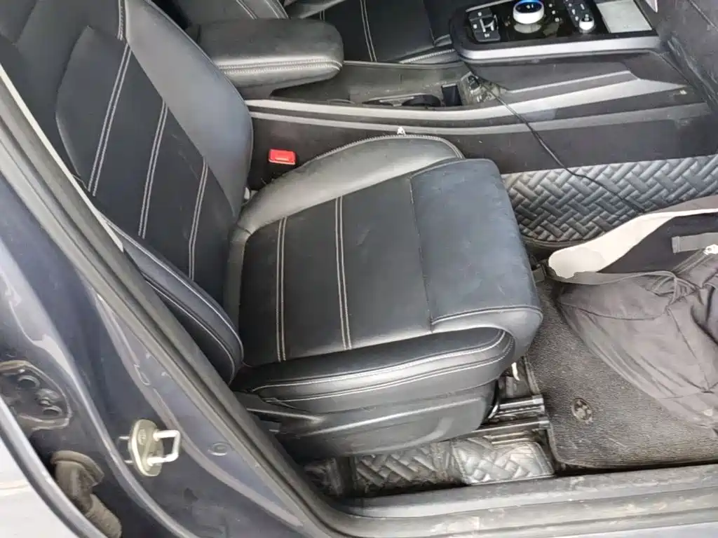 BYD e2 2020 2019 Long Range Yao·Luxury Model