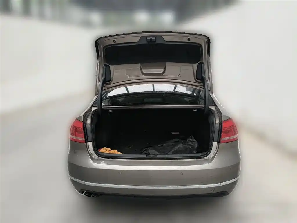 Volkswagen Passat 2014 1.8TSI DSG Executive Edition фото 10