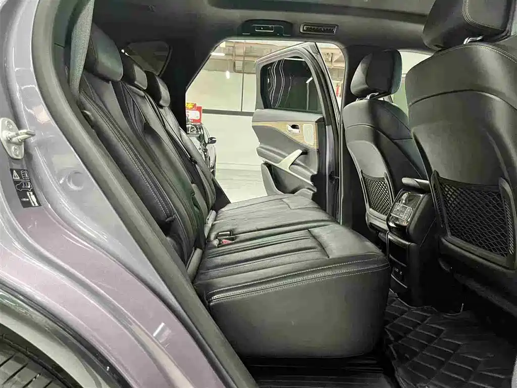 Denza X 2020 Model PHEV Flagship Edition фото 20