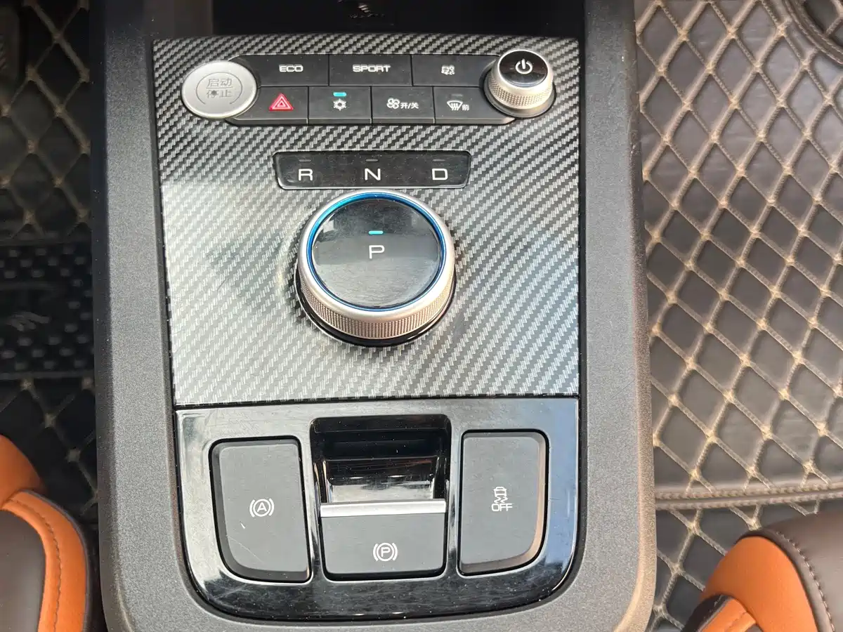 BYD e2 2021 2020 Upgraded Long Range Luxury