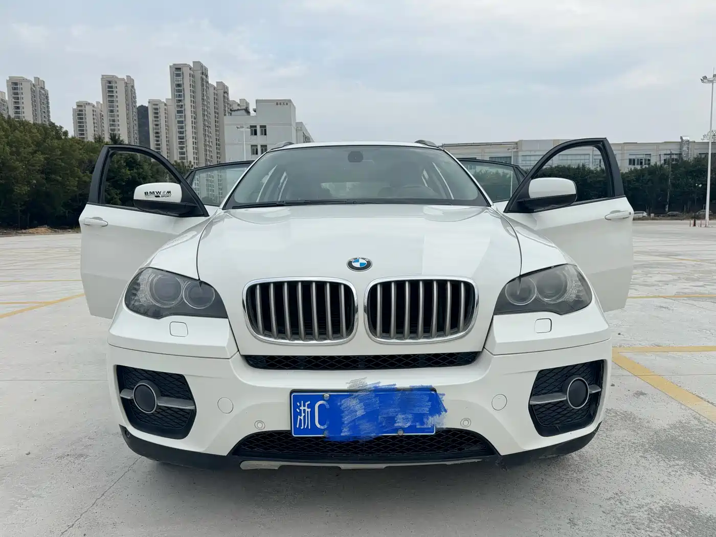 BMW X6 2011 xDrive35i