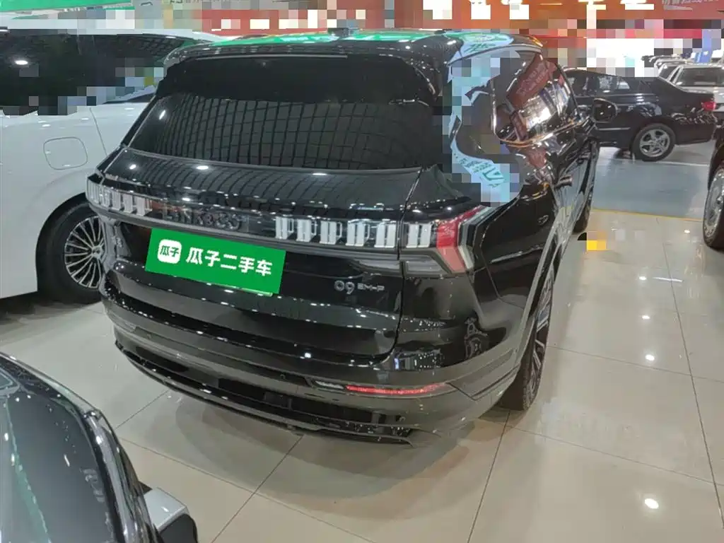 Lynk & Co 09 EM-P 2024 2.0TD EM-P AWD ULTRA 6-Seater фото 7