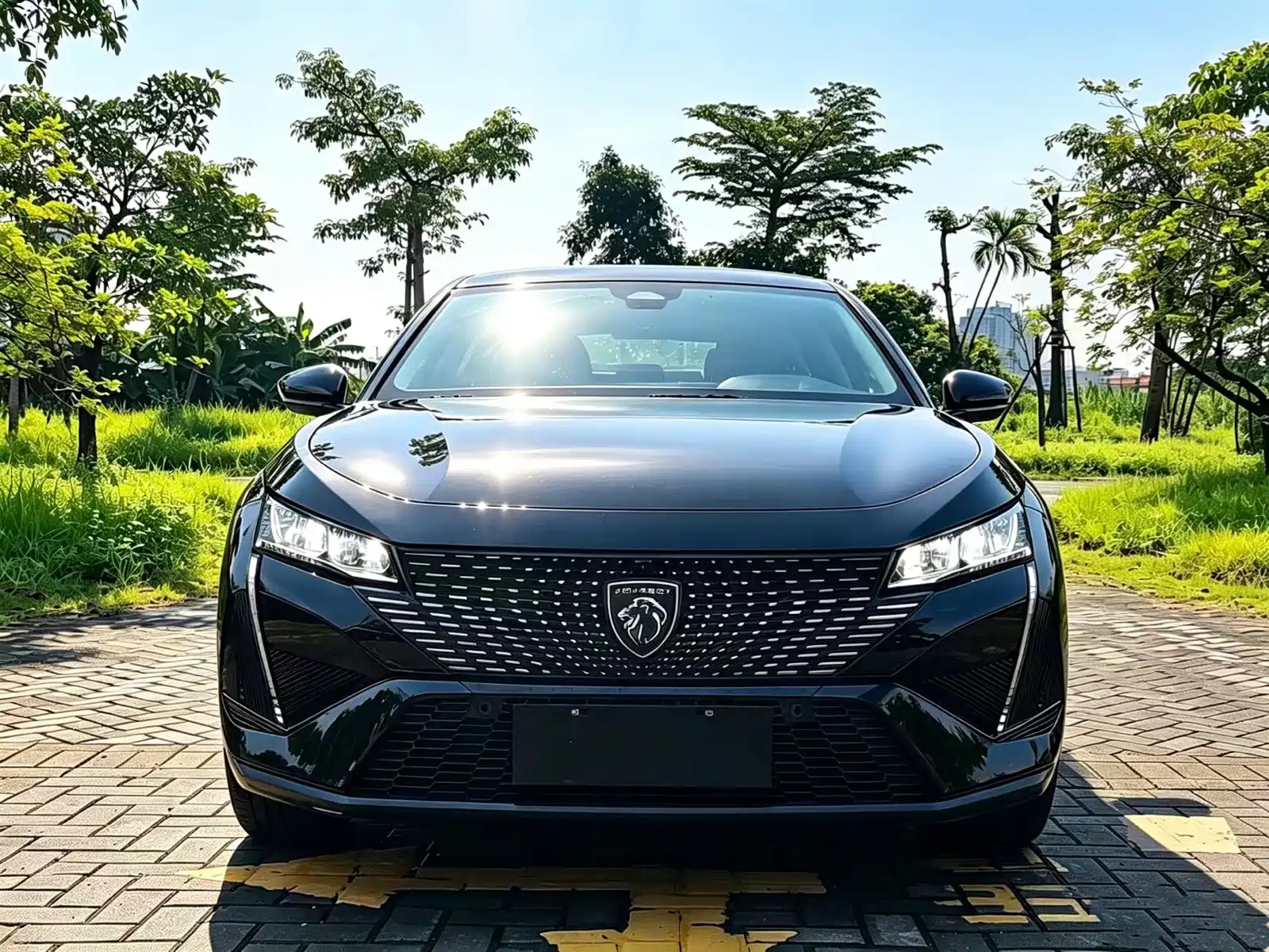 Фото 5 - Peugeot 408X