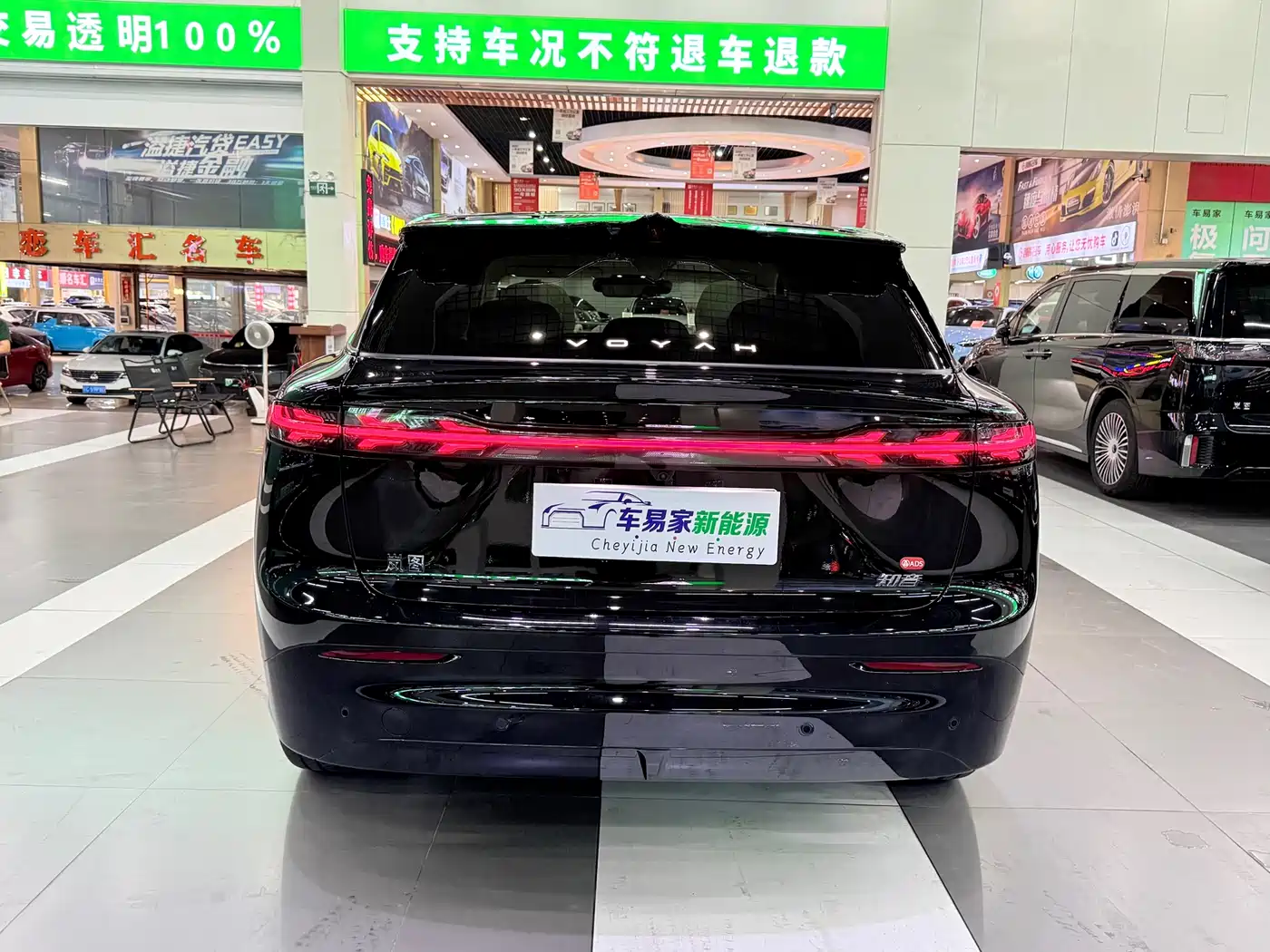 Voyah Auto Voyah Zhiyin 2025 Base фото 4