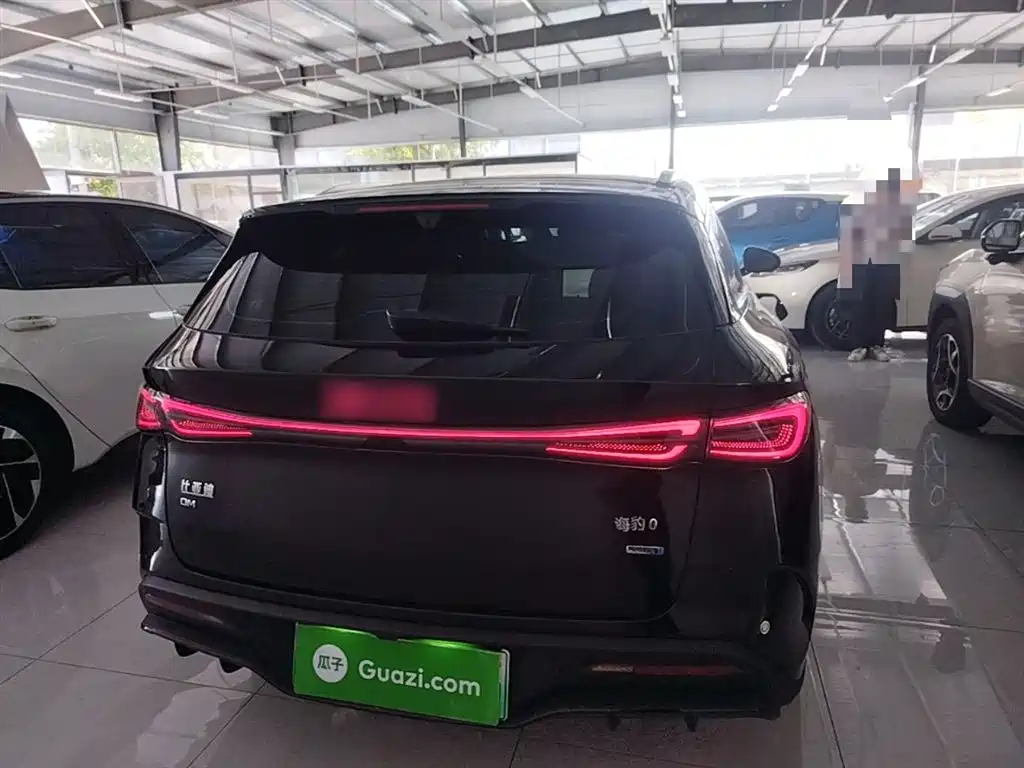 BYD Seal 06 DM-i Touring 2025 DM-i 150KM Flagship фото 6