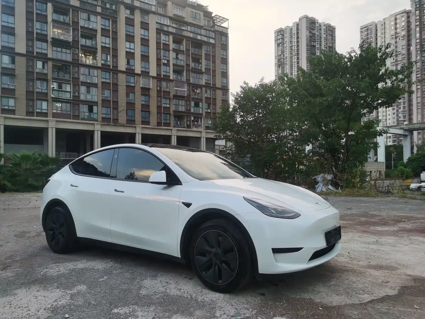 Фото 3 - Tesla Model Y